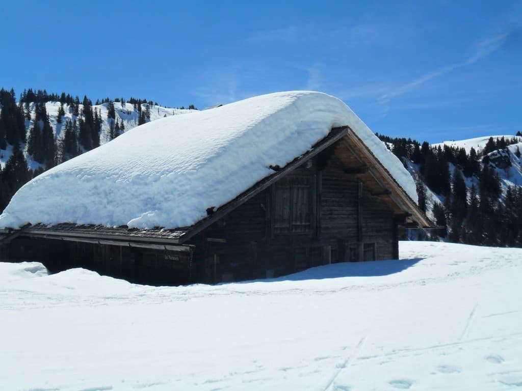 La neige