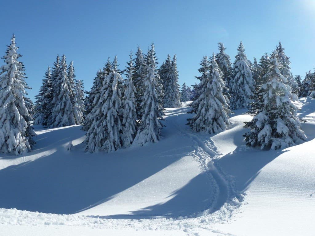 Paradis hivernal 