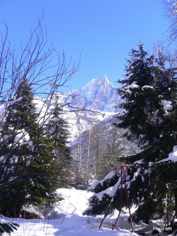 CHAMONIX L'AIGUILLE VERTE