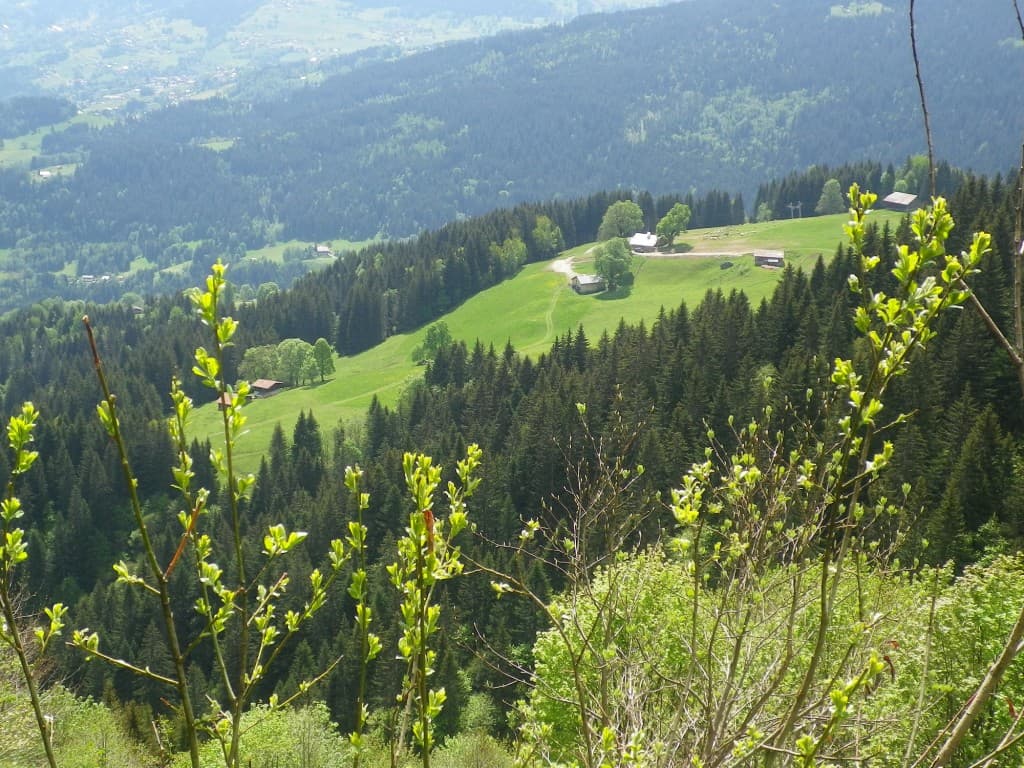 couleurs de mai