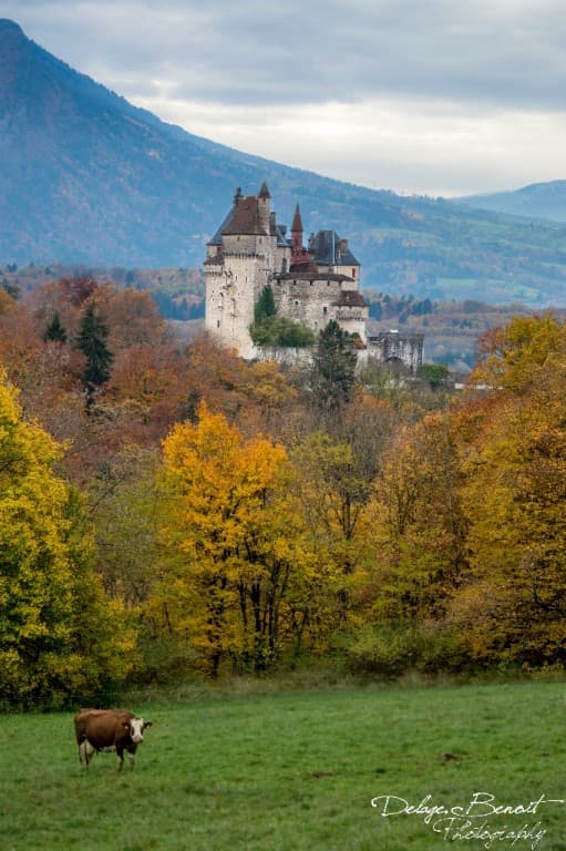 Le château de Menthon-Saint-Bernard