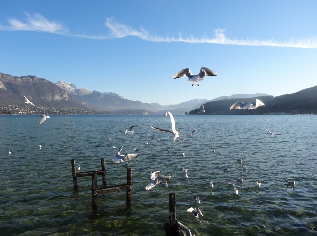 Annecy 16h le 27 décembre 2015