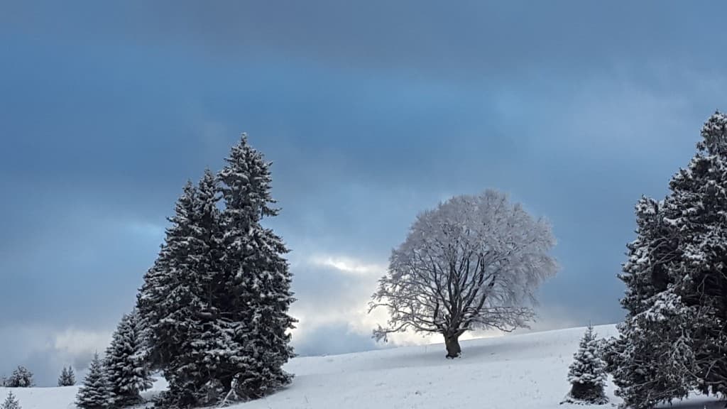 Semnoz - premières chutes de neige