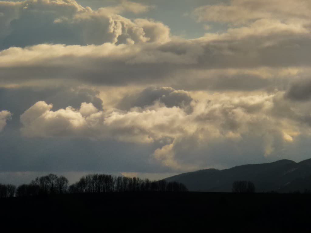 composition de fin d'après-midi