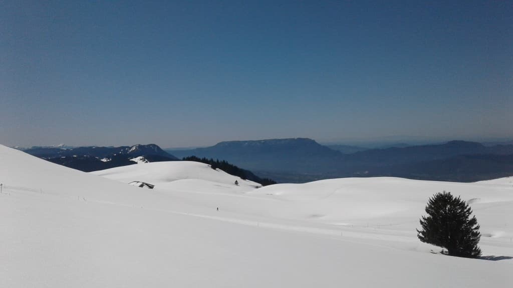 Le printemps au Semnoz