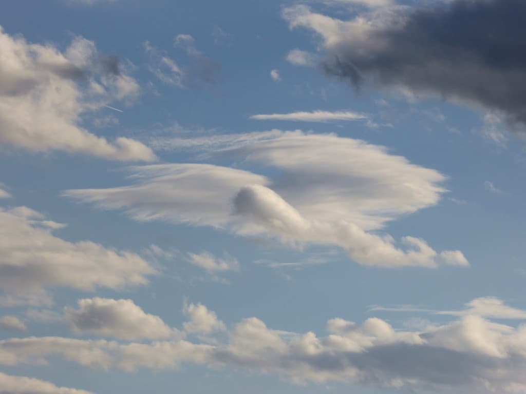 Mouvements d'ailes, dans le vent du soir