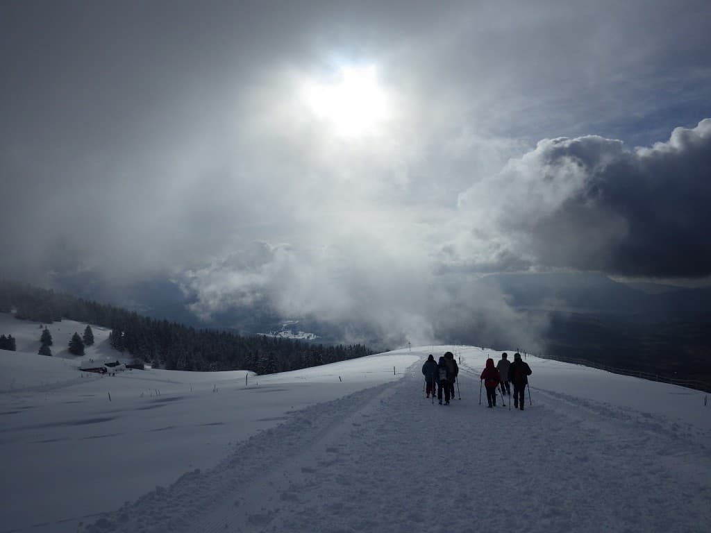 SEMNOZ 