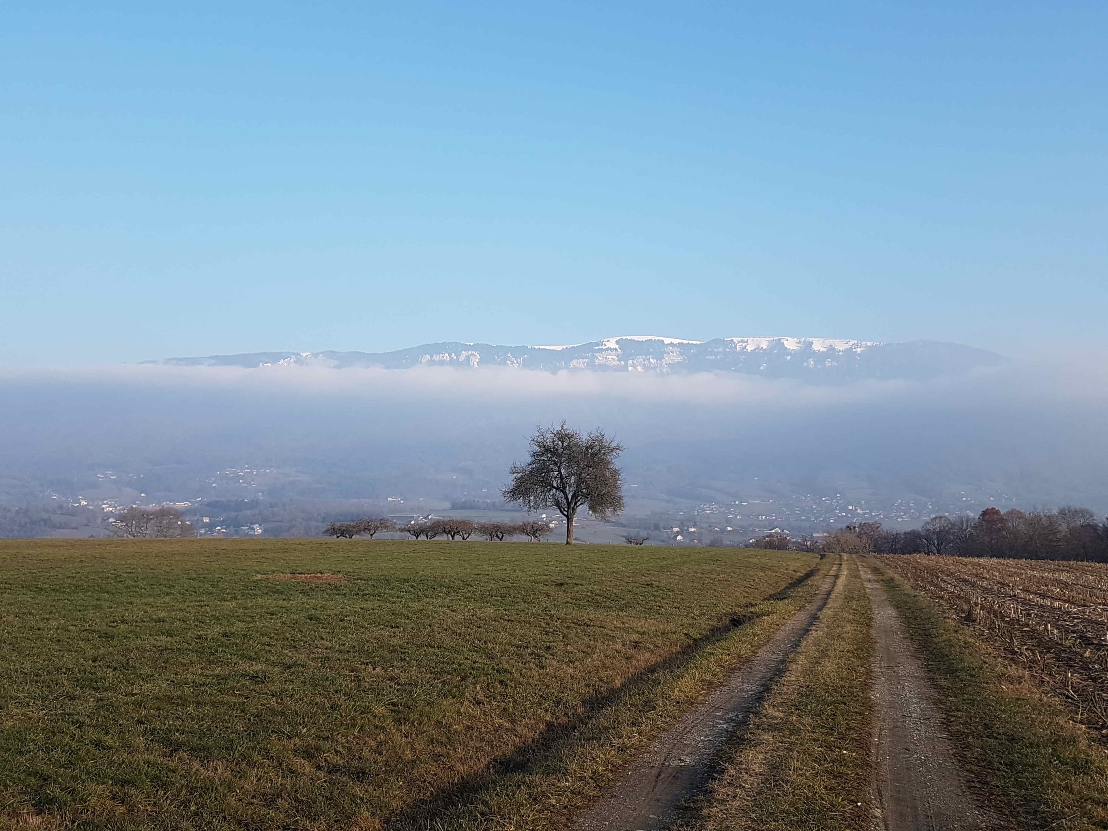 Le Semnoz vu d'Alby sur Chéran