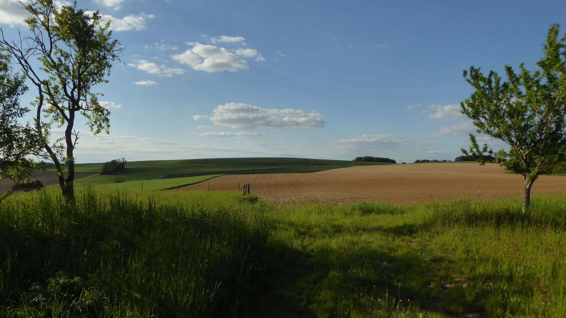 Beau temps