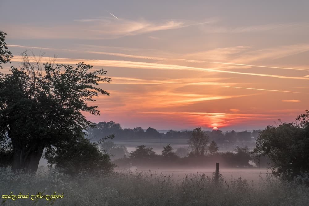 Le bocage et la brume