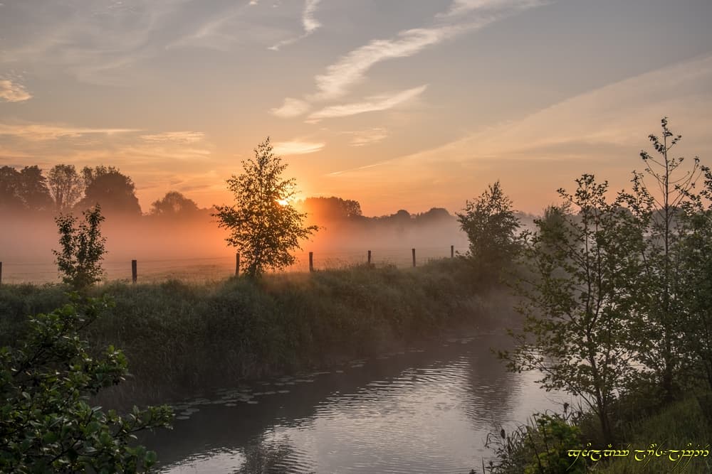 Au bord de la rivière