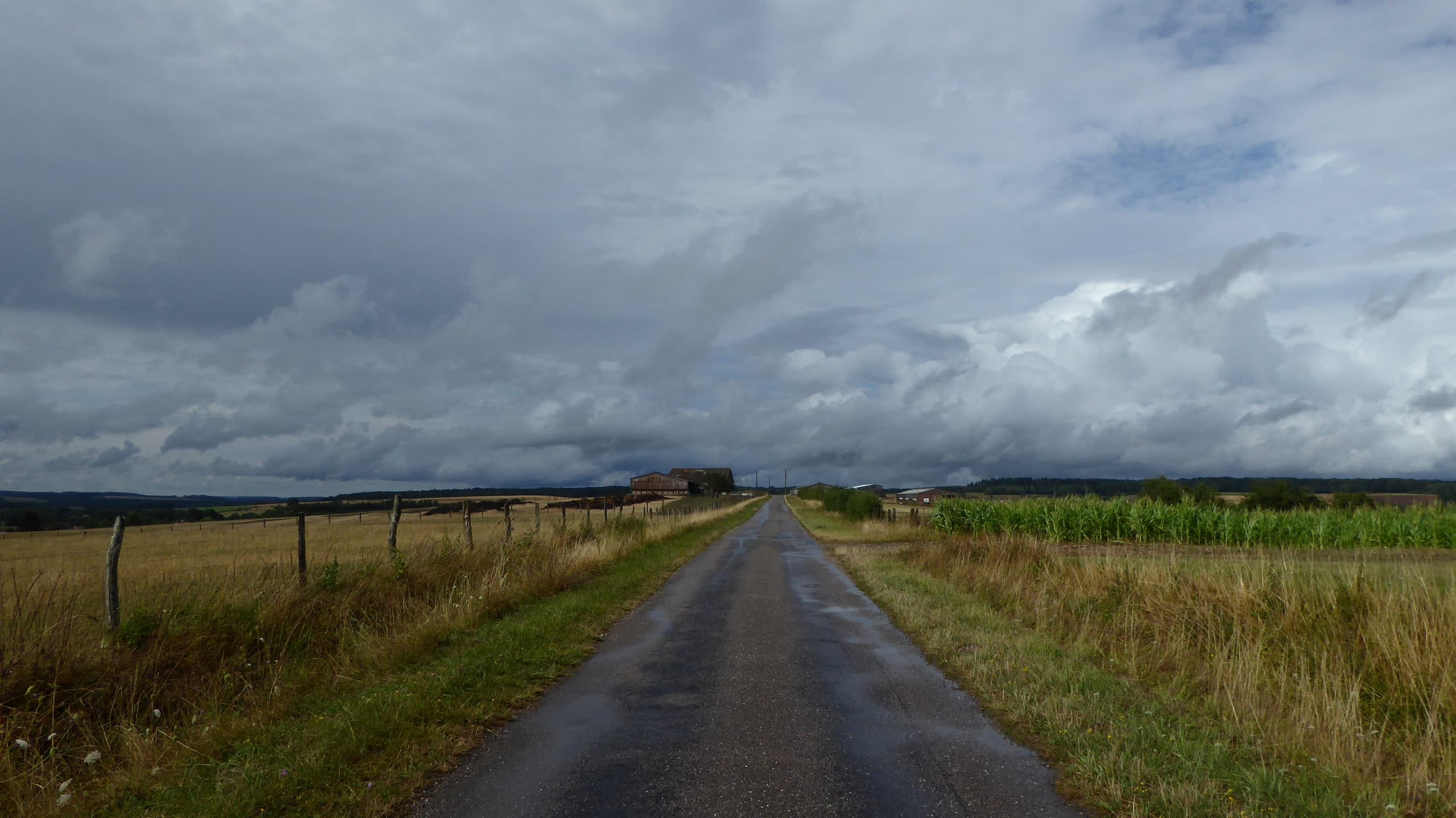 Après la pluie