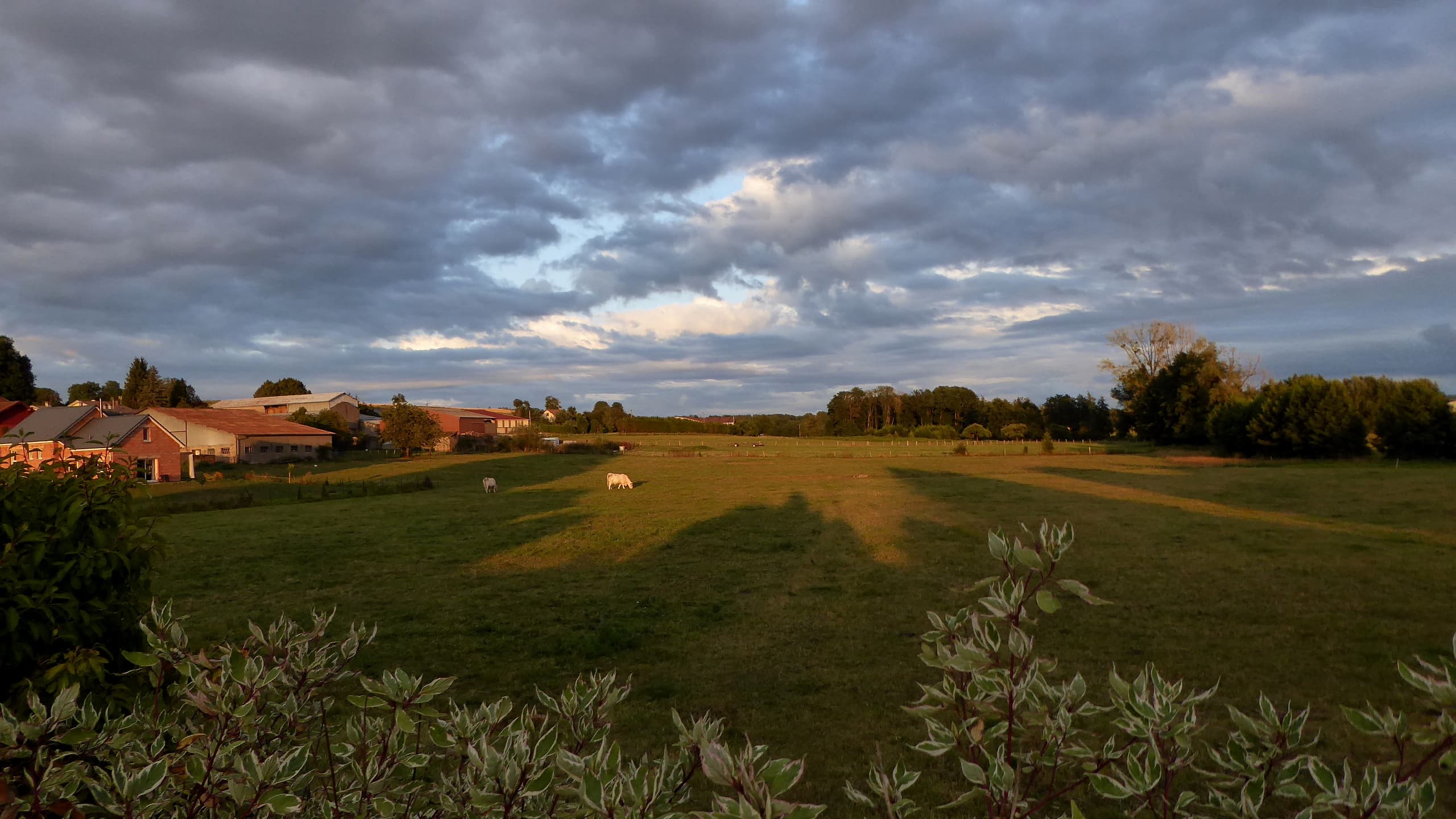 Avant le  coucher du soleil