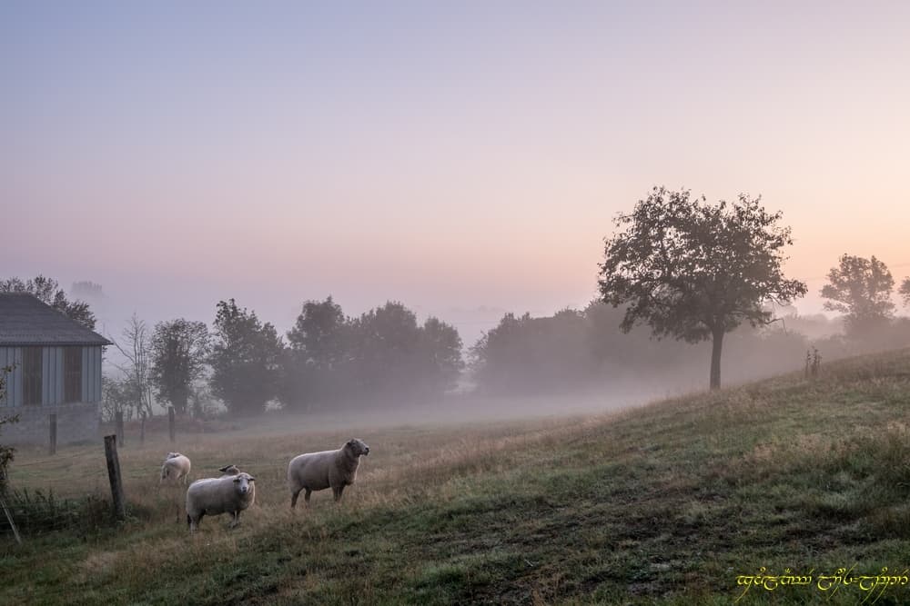 Belle ambiance
