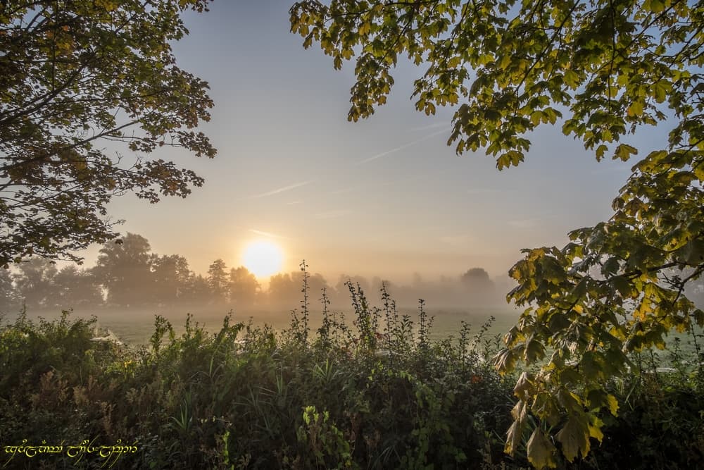 Canonique automne