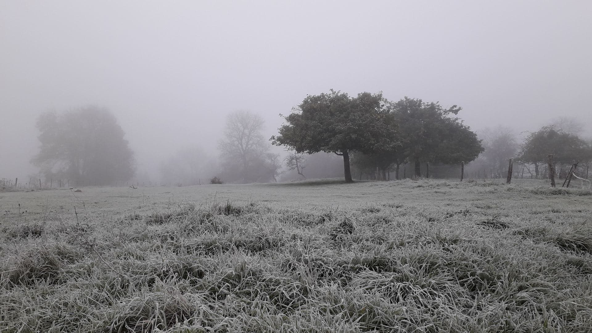 brouillard givrant