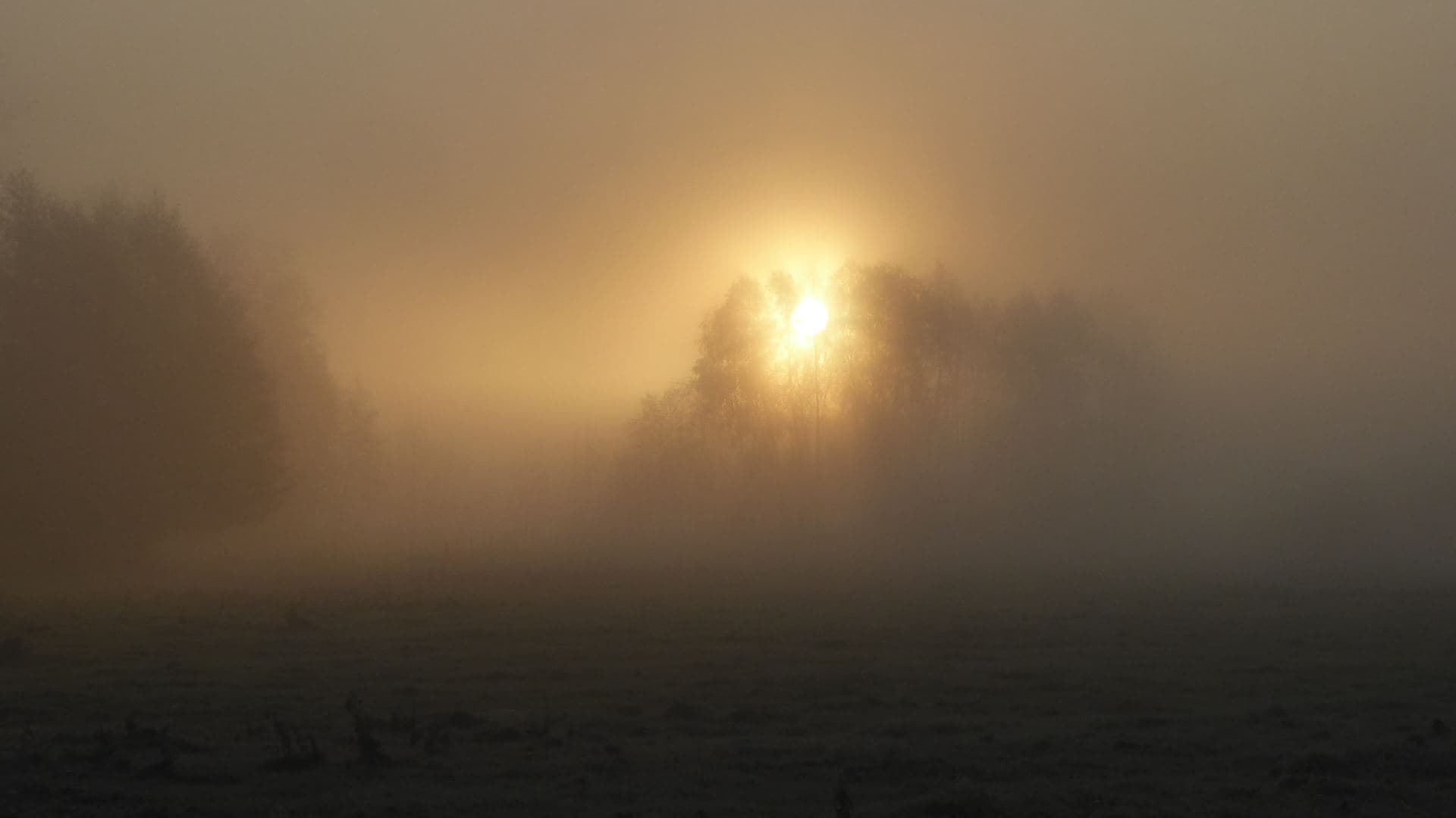 Brouillard givrant