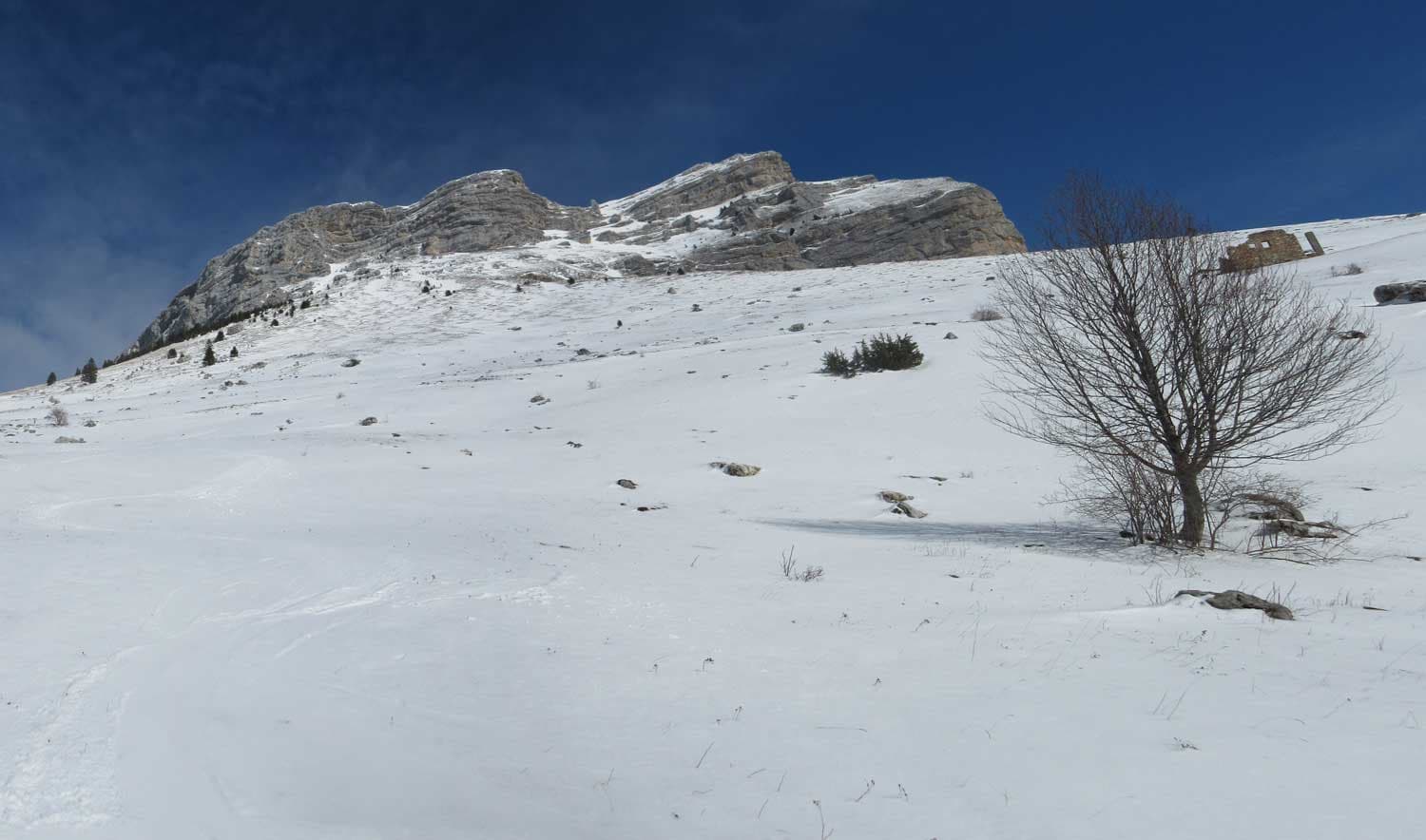 Retour de la neige