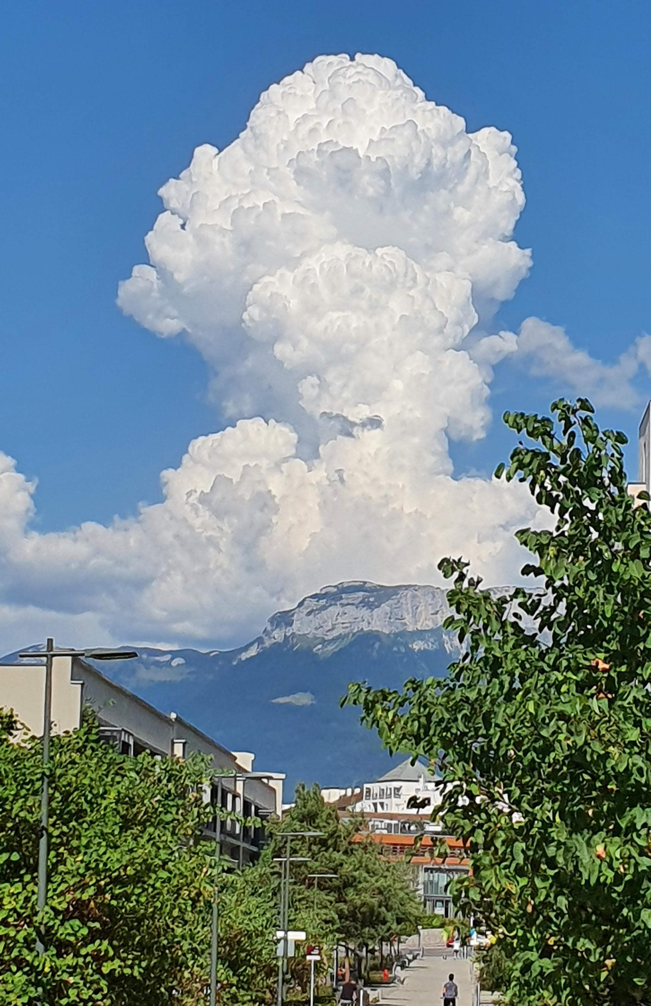 Un beau champignon sur le Parmelan, depuis Poisy