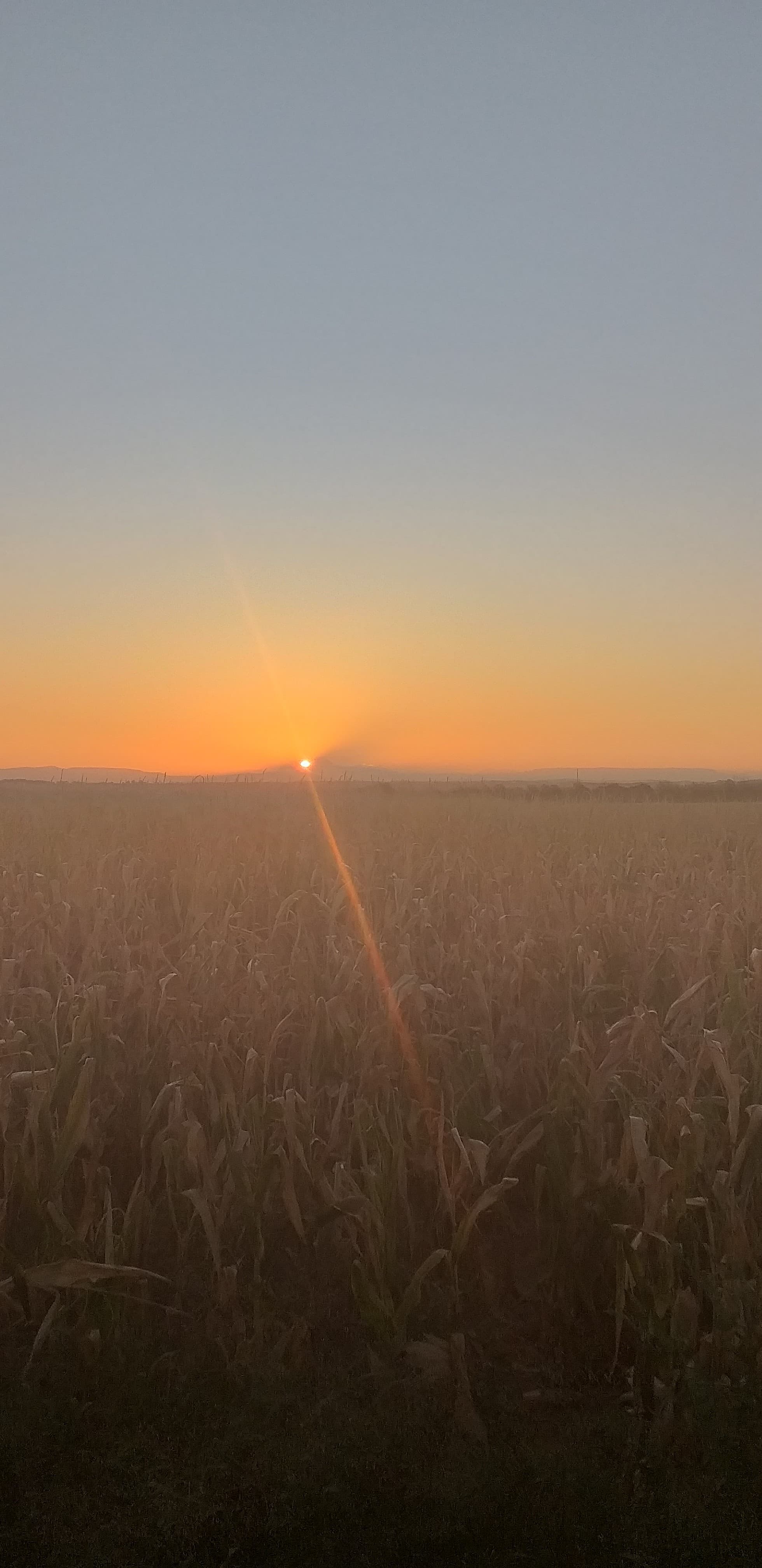Lever de soleil sur le Mont-Blanc