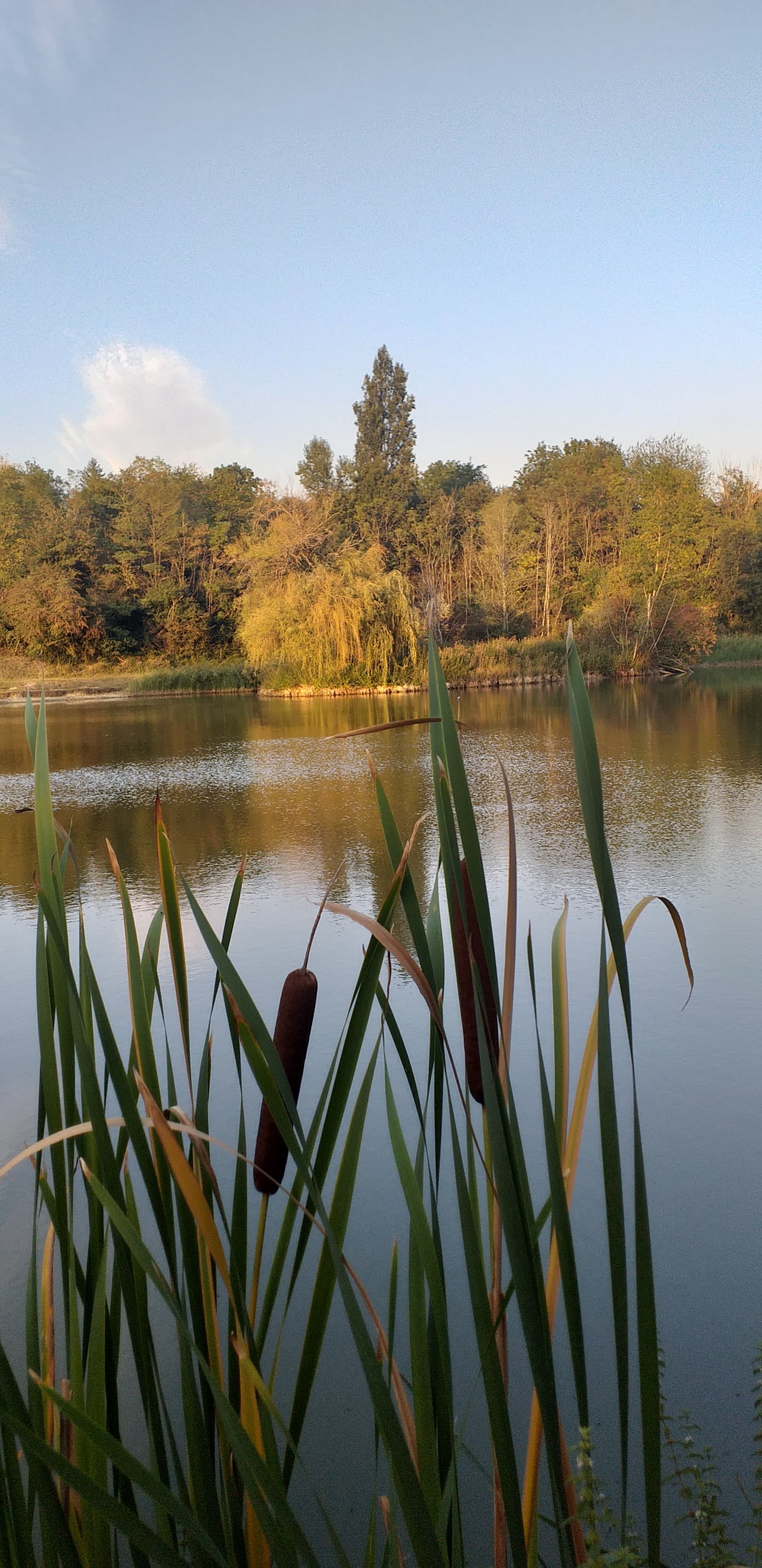 Lumière du soir sur l'étang de Valencin