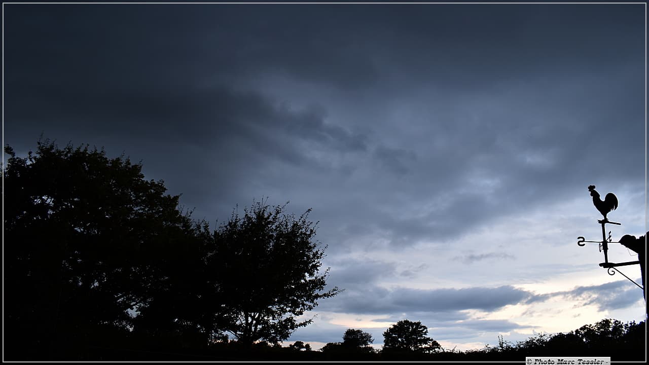 Grosse pluie, la nature va être contente