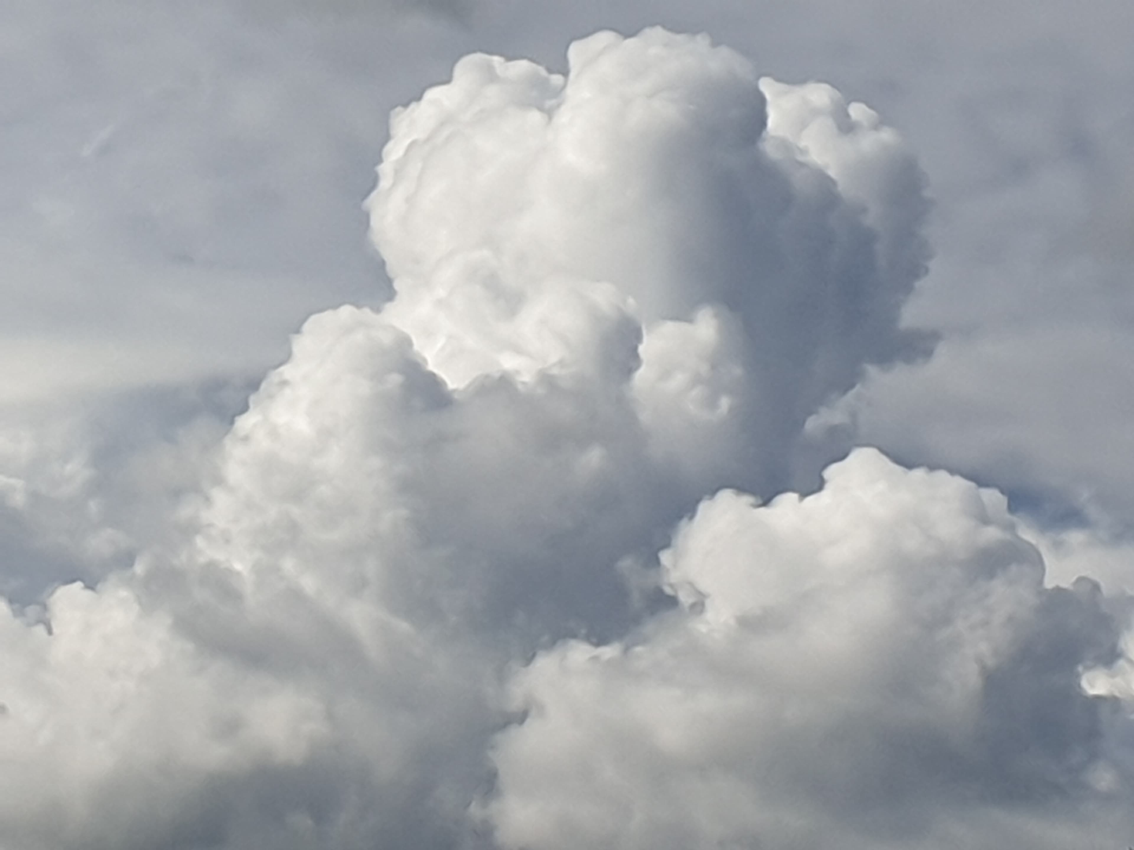 Une réunion de nounours ?