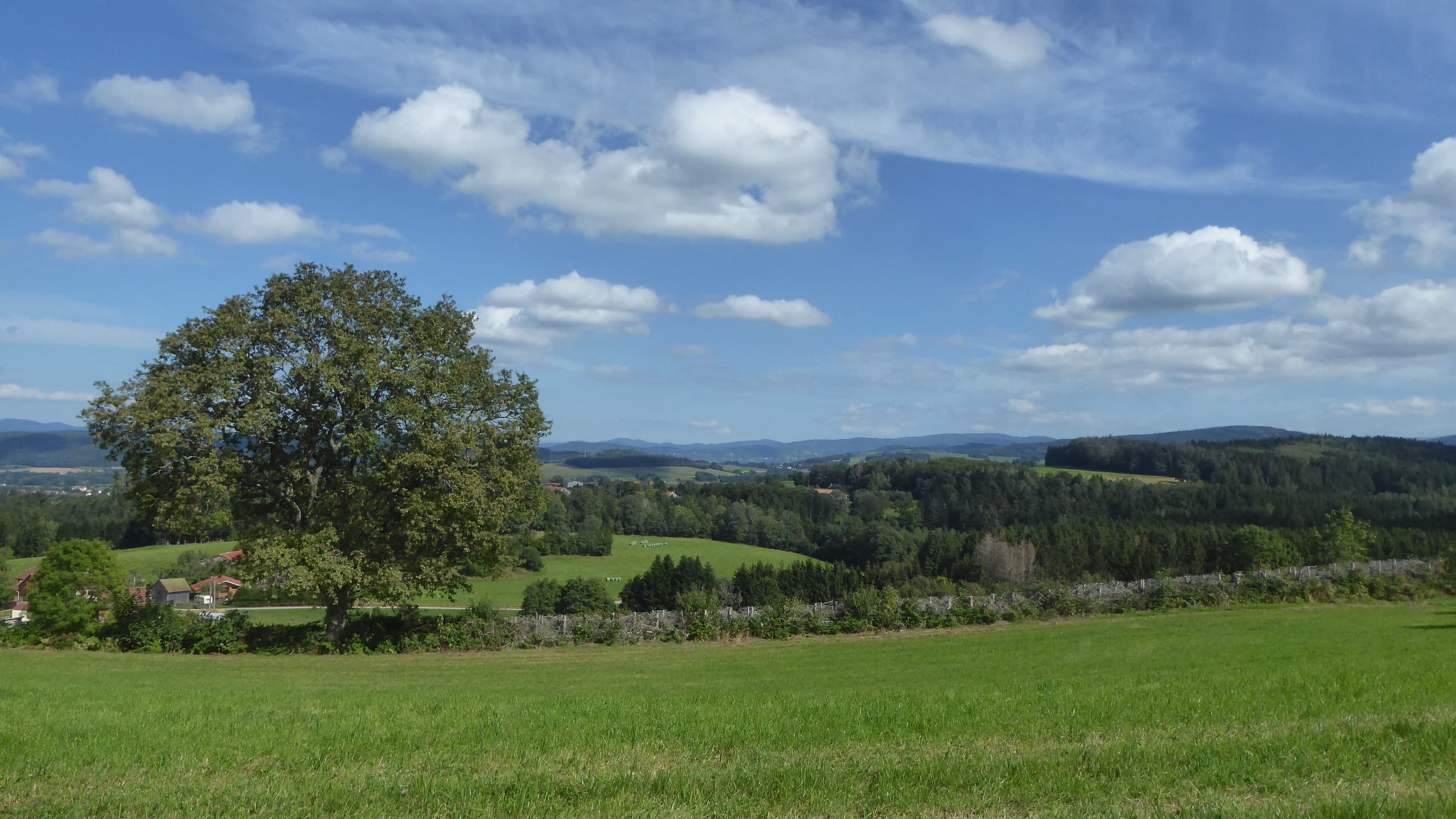 Cumulus de beau temps