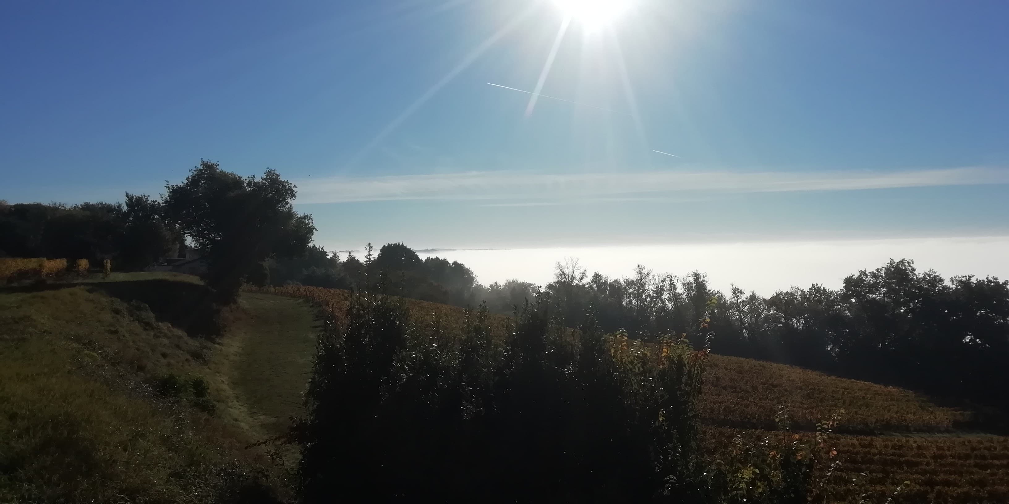 brouillard persistant sur la Garonne