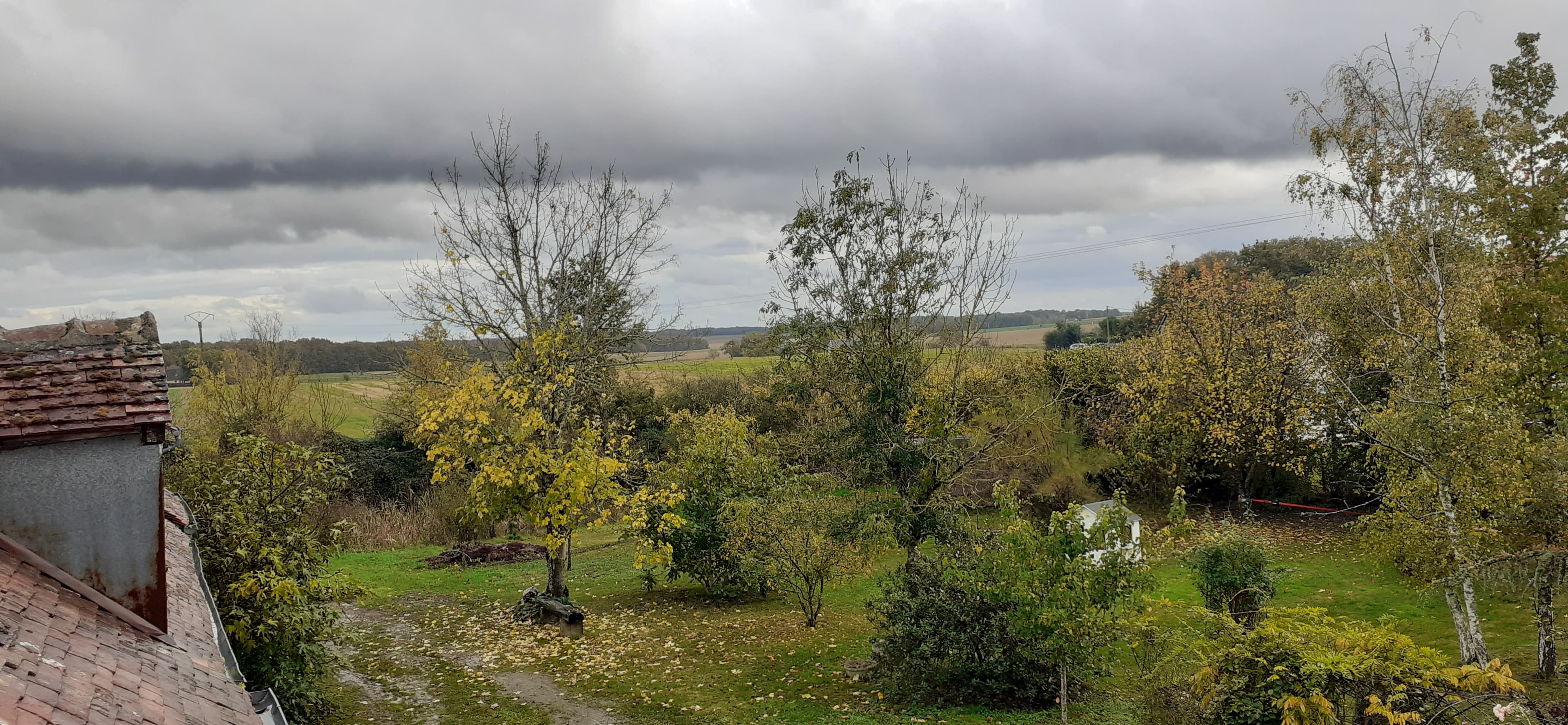 Couleurs d'automne