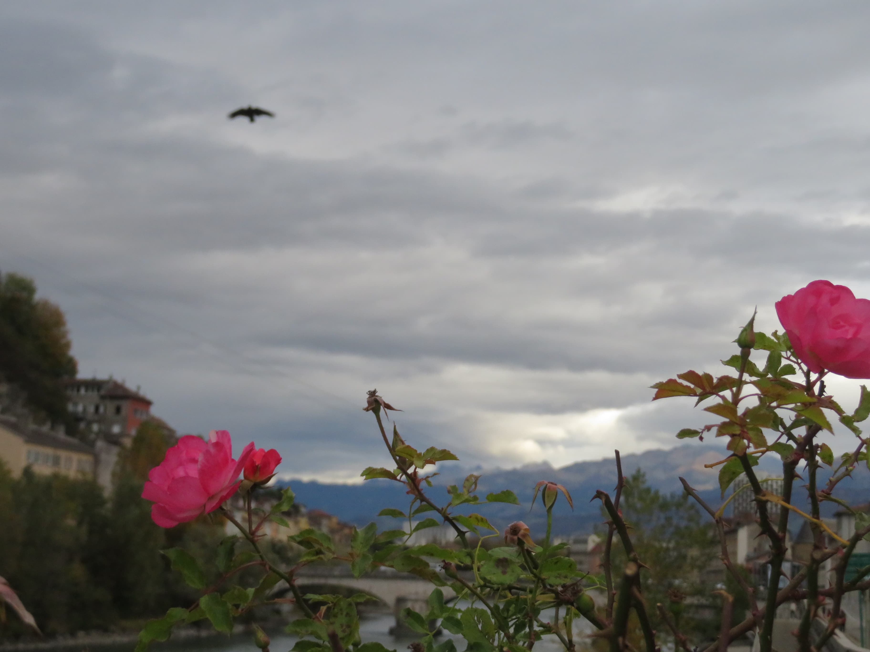 Grenoble sous le foehn