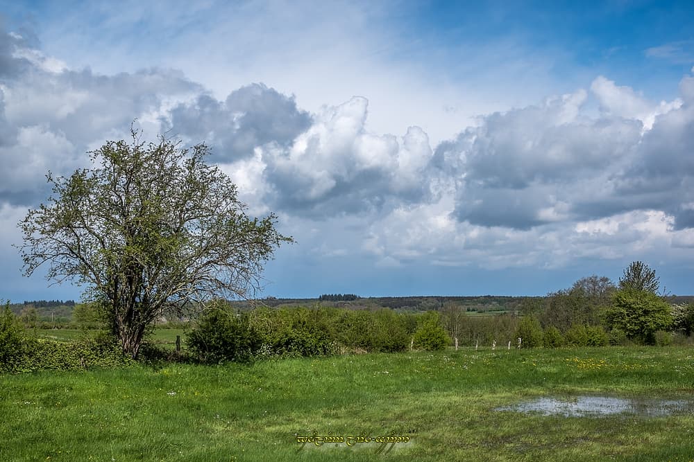 Humidité subsistante