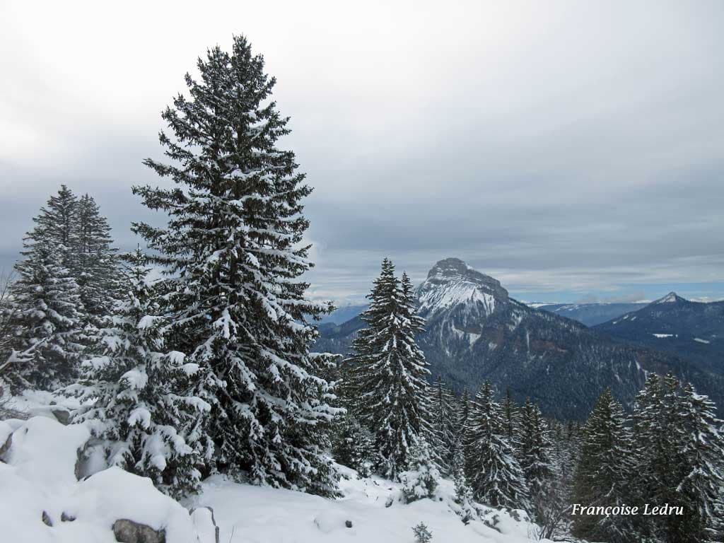 Retour de la neige en Chartreuse
