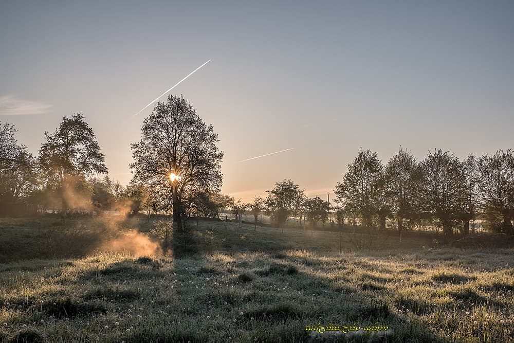 Fraîcheur et brume