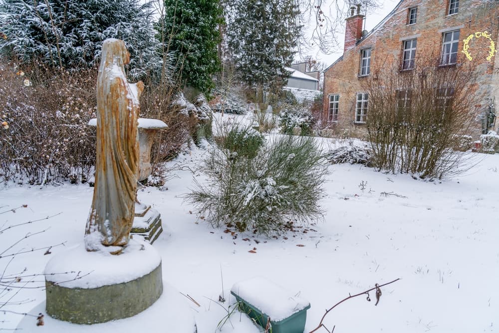 Prions pour la neige