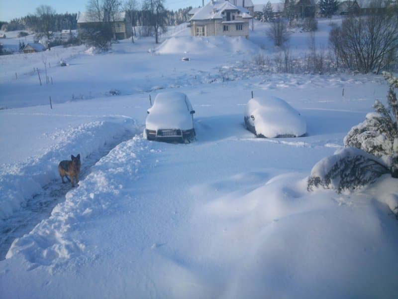 Image d'illustration pour Neige en Pologne