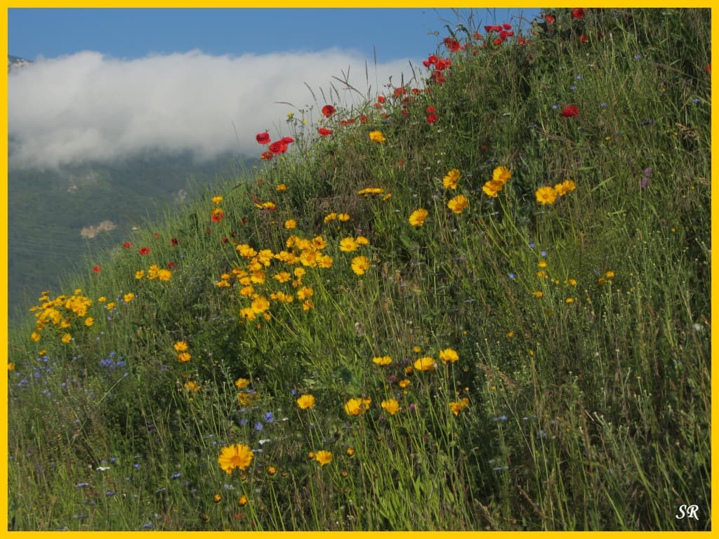 Image d'illustration pour Soleil, chaleur et orages sur la France