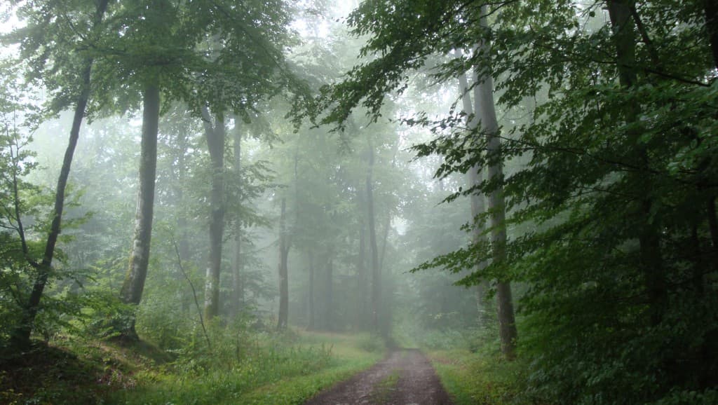 Image d'illustration pour Vos photos météo de la semaine