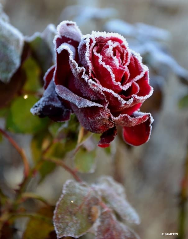 Image d'illustration pour Vos photos météo de la semaine