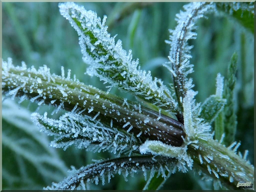 Image d'illustration pour BILAN DU PRINTEMPS 2013 : complètement pourri !