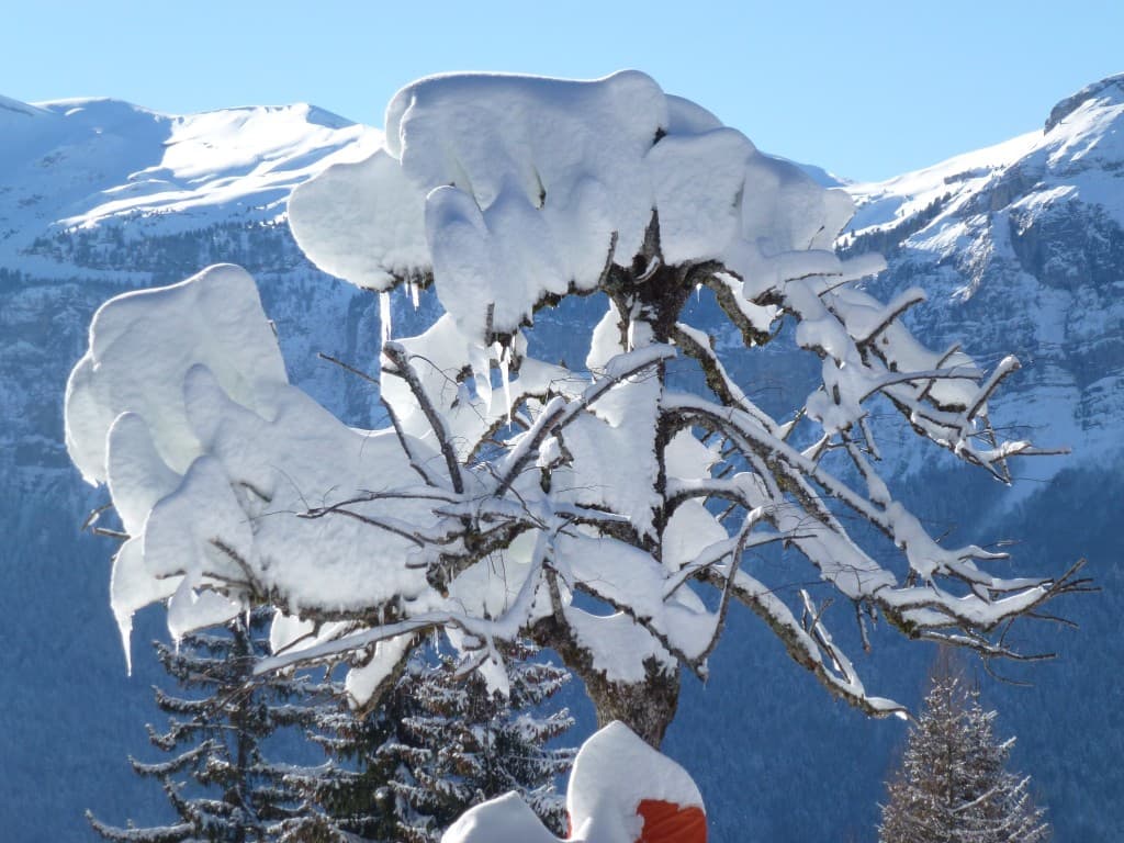 sculture naturelle
