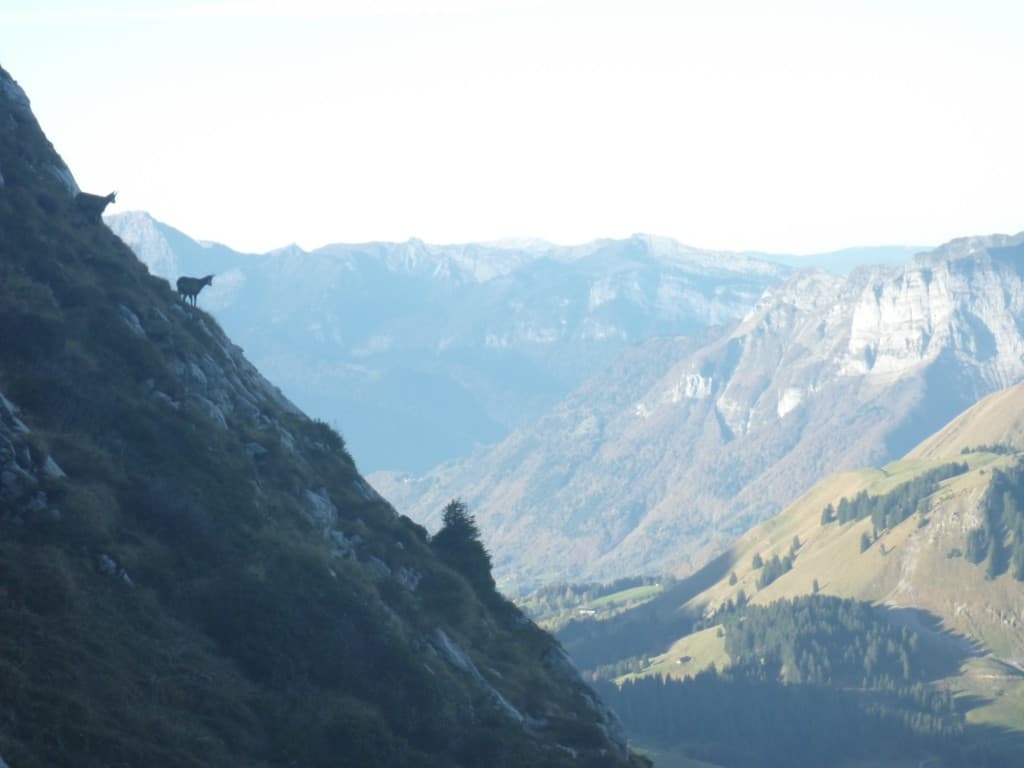 lever du jour