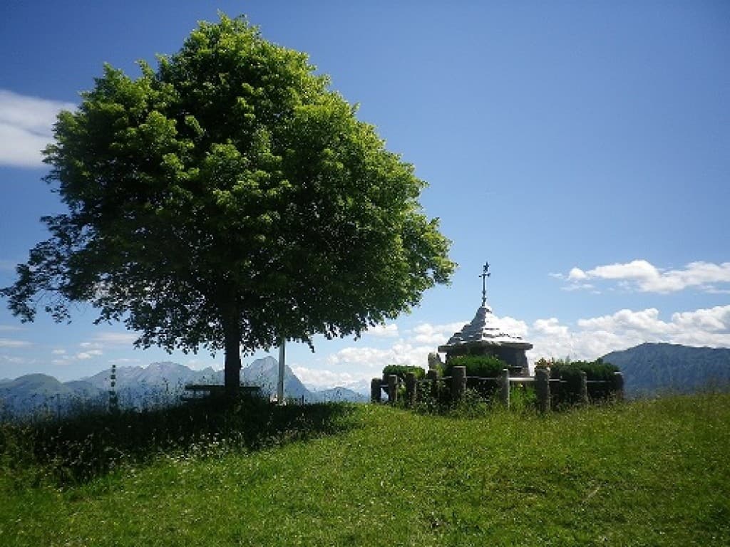 Recueillement sous le tilleul