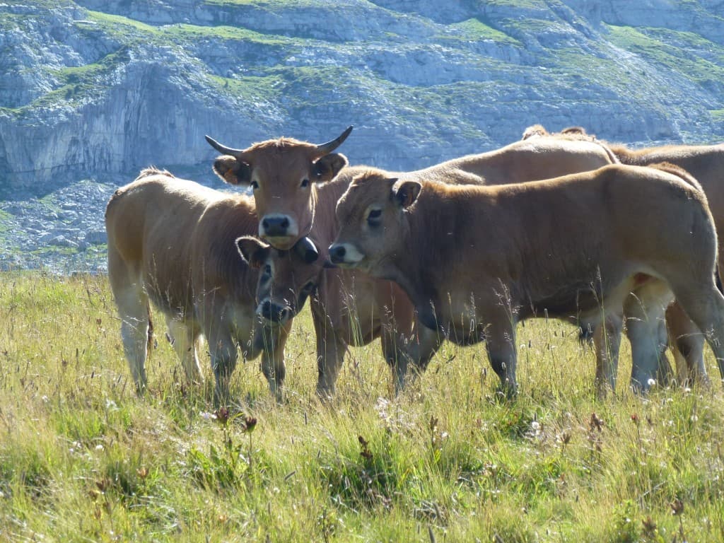 Rencontre 
