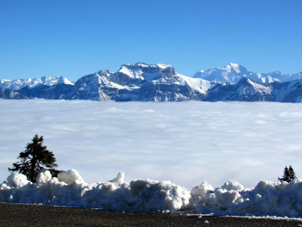 Vue sur la Tournette et le Mt Blanc 
