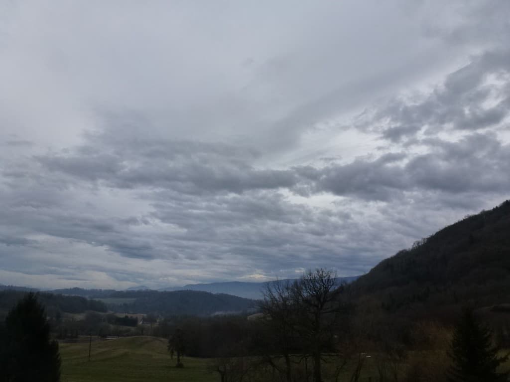 atmosphère matinale....