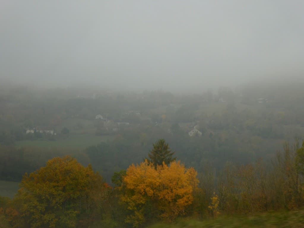 Brouillard matinal