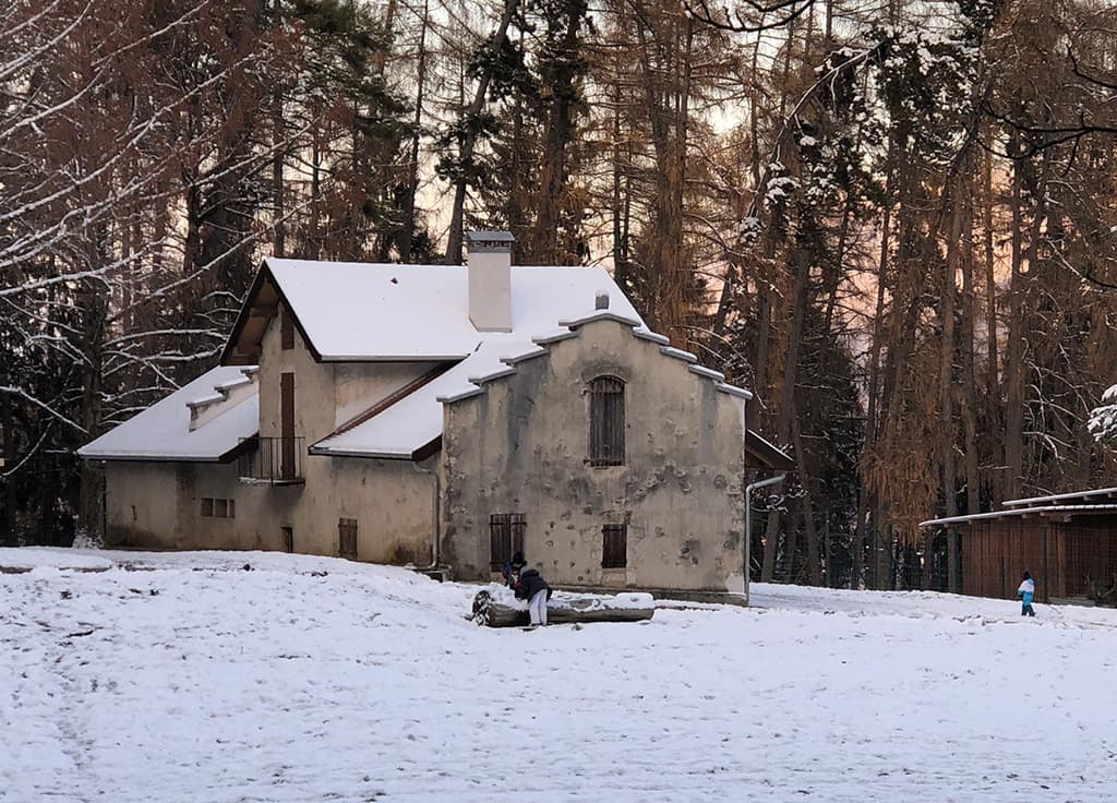 Le parc aux biches