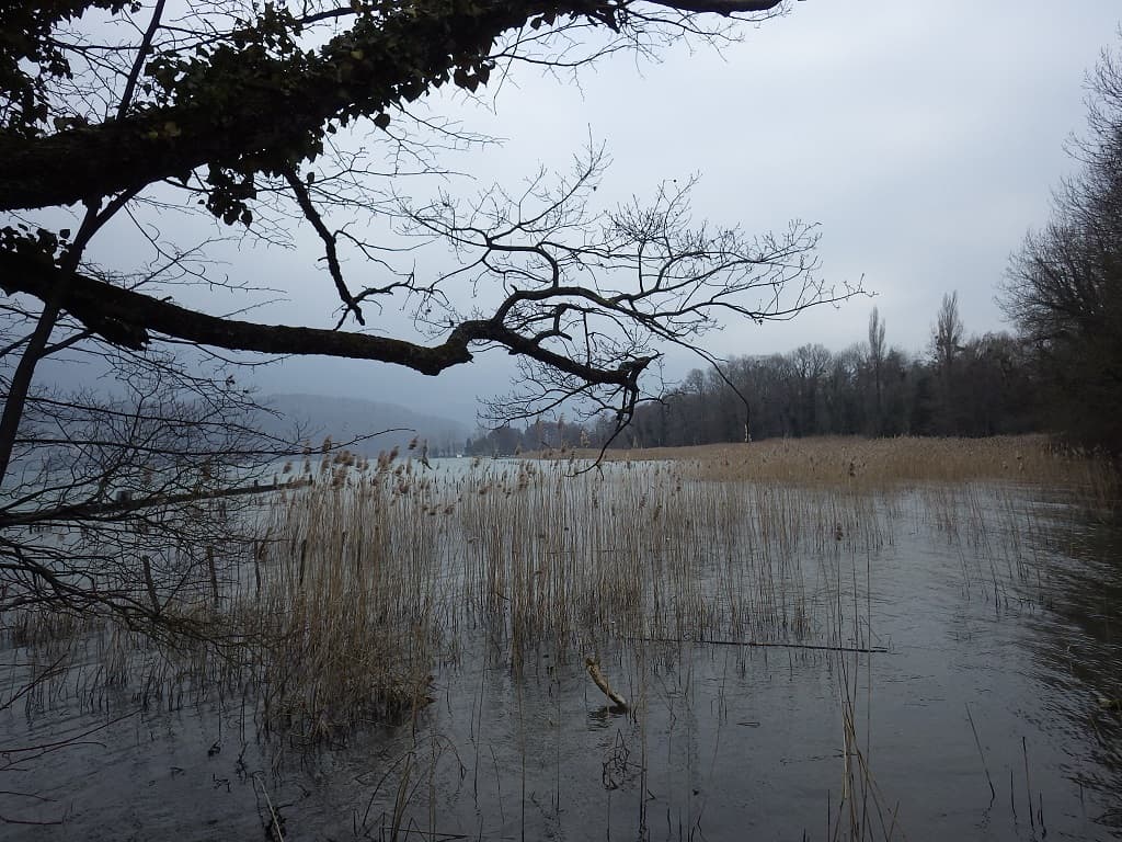 Les marais de l'Enfer