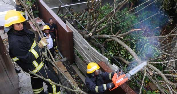 Image d'illustration pour Bilan du passage de Bejisa près de La Réunion